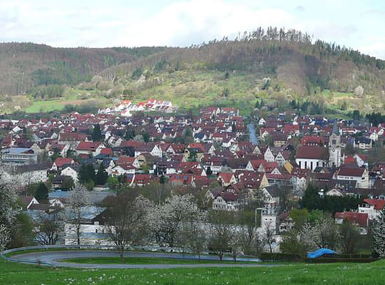 Blick aus der Ferne auf die Stadt Sulzbach