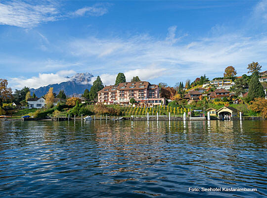 toller Blick vom See auf das Seehotel Kastanienbaum