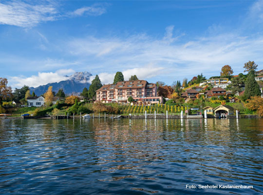 toller Blick vom See auf das Seehotel Kastanienbaum
