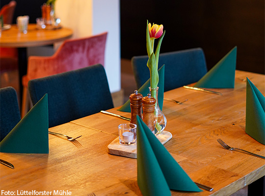 Nahaufnahme gedeckter Tisch mit grünen Servietten 