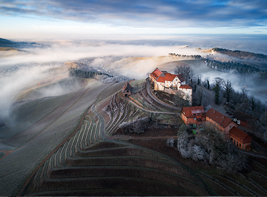 Nebelschwaden legen sich über die Felder rings um das Schloss Staufenberg