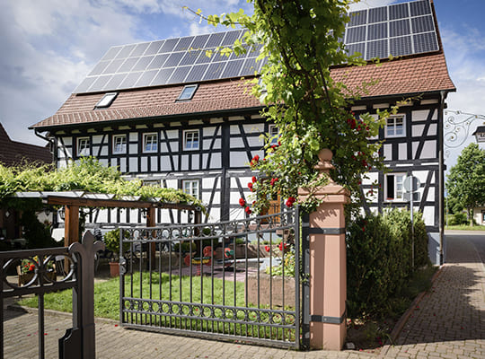 Wunderschöner Garten mit großem Gartentor vor dem Gasthaus. Alles blüht in Grün.