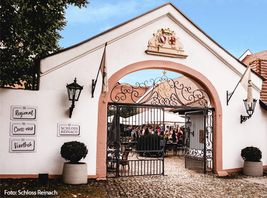 Historisches Eingangstor des Schlosses Reinach