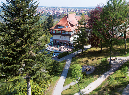 Grüne Bäume und Wege die alle zum Hotel Teuchelwald führen