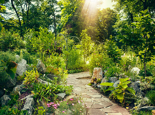 Grüner Garten mit vielen schönen Blumen und Sträuchern, blauer Himmel und Sonnenschein