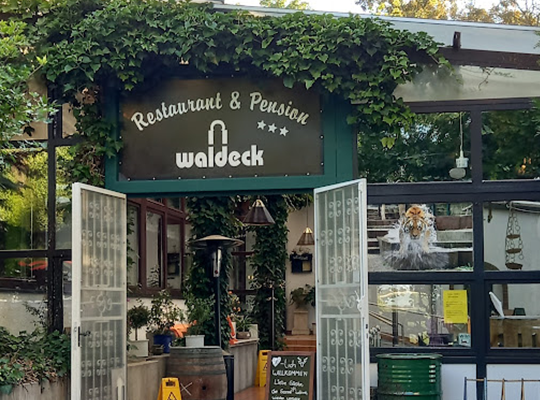 Schild über Türen, mit Efeu überwachsen