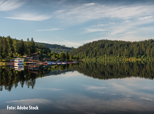 Bild vom Schluchsee mit Wald im Hintergrund