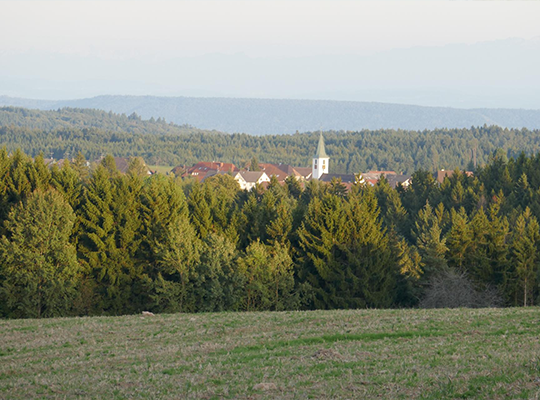 Grüne Wiese und Wald mit Sicht auf Ühlingen