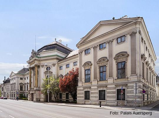 Krimidinner im Palais Auersperg in Wien